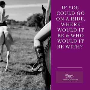 Image post by @equineidsolutions on Instagram