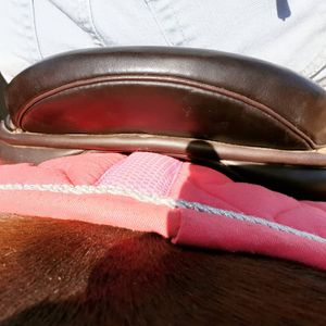Image post by @performancesaddlefitssthsydney on Instagram