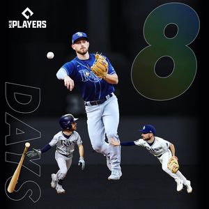 Image post by @mlb.mini on Instagram