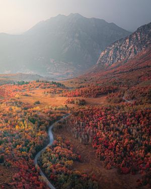 Image post by @aaron.k.baker on Instagram