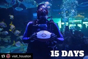 Image post by @housuperbowl on Instagram