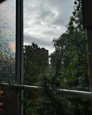 Image post by @marshallulife on Instagram