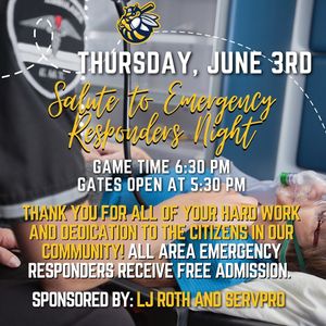 Image post by @burlington_bees on Instagram