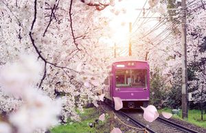 Image post by @worldhotels_collection on Instagram