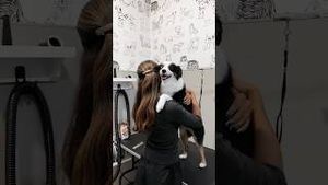 Video post by @Liza Otovo on YouTube