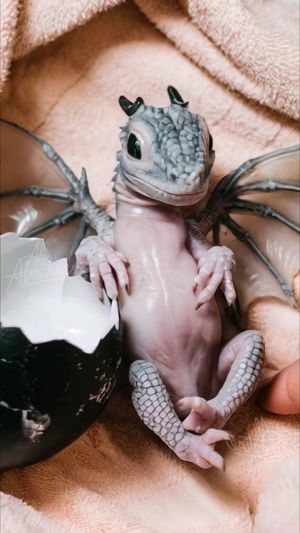 Video post by @ali.aboutine on TikTok