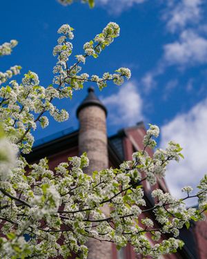 Image post by @uofnh on Instagram