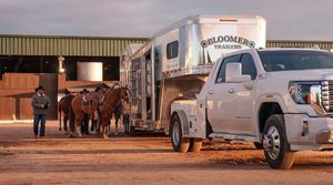 Image post by @bloomertrailers on Instagram