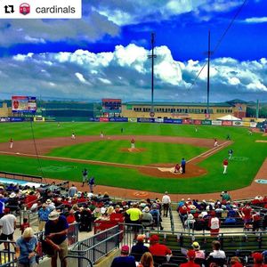 Image post by @springfield_cardinals on Instagram