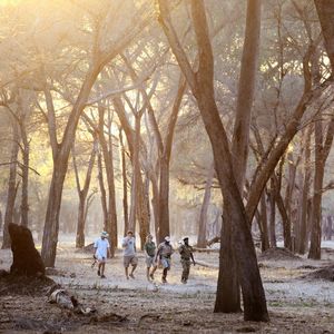 Image post by @chiawasafaris on Instagram