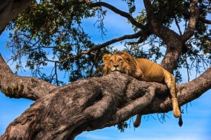 Image post by @natgeo on Instagram