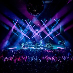 Image post by @lettucefunk on Instagram