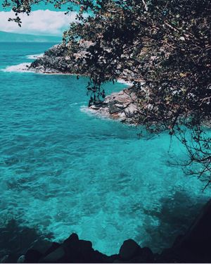 Image post by @kaikinibikinis on Instagram