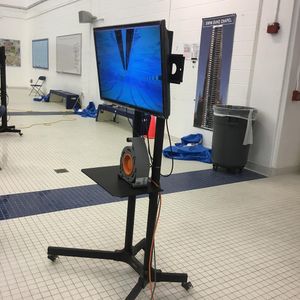 Image post by @dukeswimdive on Instagram
