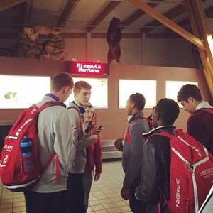 Image post by @davidsonwildcat on Instagram