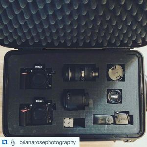 Image post by @seahorsecases on Instagram