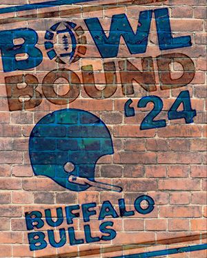 Image post by @bowlseason on Instagram