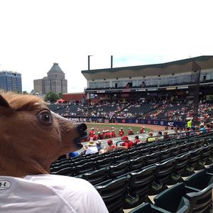 Image post by @terpsbaseball on Instagram