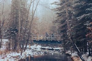 Image post by @themainemag on Instagram