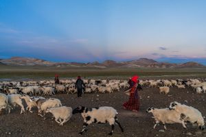 Image post by @natgeo on Instagram