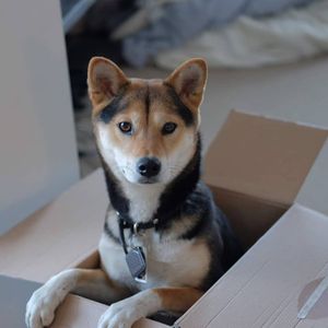 Image post by @google on Instagram