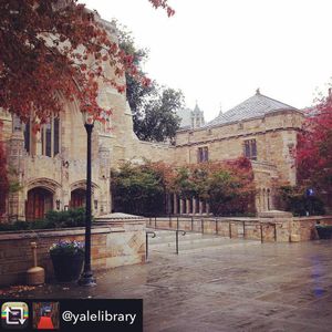 Image post by @yaleswimdive on Instagram