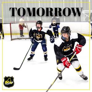 Image post by @sullyshockeyacademy on Instagram