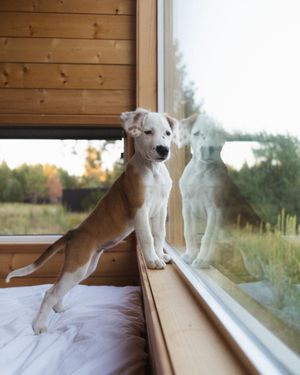 Image post by @getawayhouse on Instagram