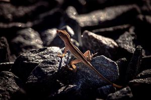 Image post by @jackportunephotography on Instagram