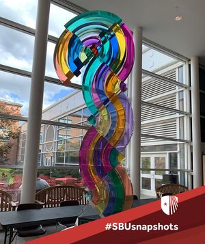 Image post by @stonybrooku on Instagram