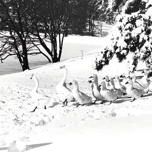 Image post by @umsl on Instagram