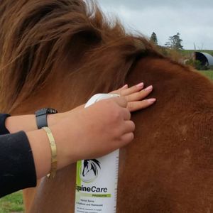 Image post by @equinecareprobiotic on Instagram