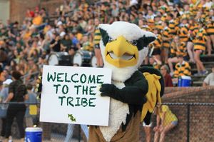 Image post by @tribeathletics on Instagram