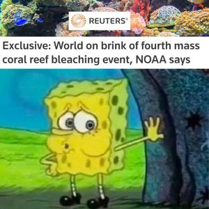 Image post by @greenpeaceusa on Instagram