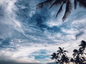 Image post by @kaikinibikinis on Instagram