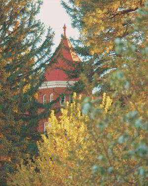 Image post by @nauflagstaff on Instagram