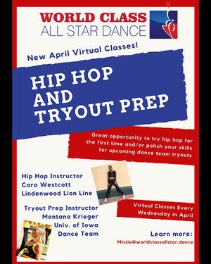 Image post by @wcallstardance on Instagram