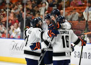 Image post by @swamprabbits on Instagram