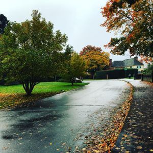 Image post by @amandakl on Instagram