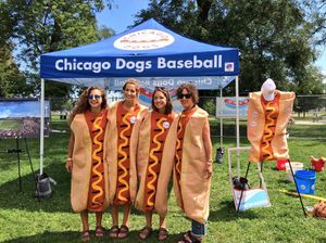 Image post by @thechicagodogs on Instagram