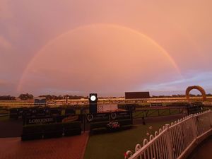 Image post by @australianturfclub on Instagram