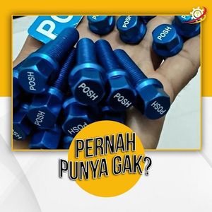 Image post by @bolalobotomotif on Instagram