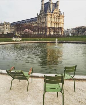 Image post by @palomacontrerasdesign on Instagram