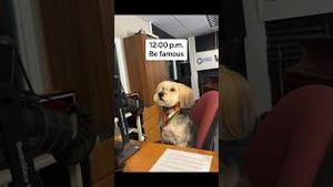 Video post by @wqlnpbsnpr on YouTube
