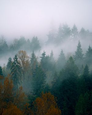 Image post by @amy.kennedy.photos on Instagram