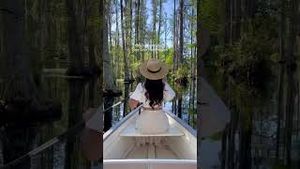 Video post by @jasminealleyblog on YouTube