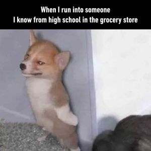 Image post by @9gag on Instagram