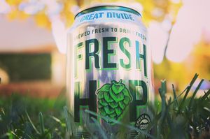 Image post by @greatdividebrew on Instagram