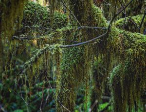 Image post by @nationalparkscollective on Instagram