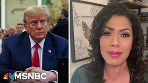 Video post by @msnbc on YouTube